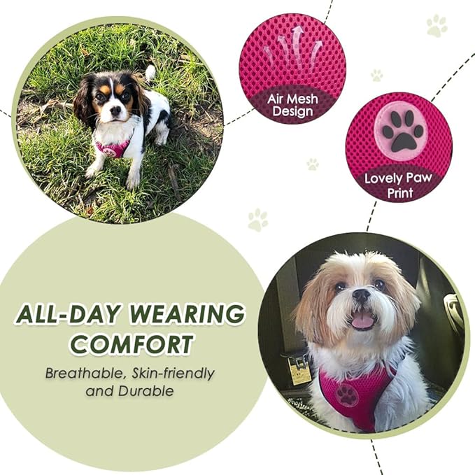 SlowTon Dog Seat Belt Harness for Car, Dog Car Harness Adjustable Mesh Breathable & Dog Seatbelt Safety Tether with Elastic Bungee for Small Medium Large Pets(Fuchsia, Double Clip, S)-Mewly Pet