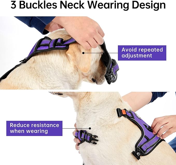 IVY&LANE No Pull Dog Harness for Medium Dogs, Dog Vest Harness with Leash, Safety Belt and Storage Strap, Fully Adjustable Harness, 360° Reflective Strip, Soft Handle (Purple, M)-Mewly Pet