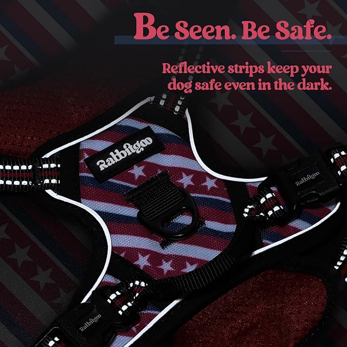 rabbitgoo Dog Harness No Pull with 2 Leash Clips, Adjustable Soft Padded, Reflective Oxford No Choke Pet Vest with Easy Control Handle for Large Dogs, Red Stripe, XS-Mewly Pet