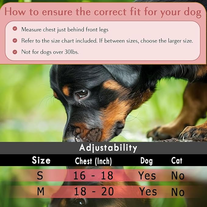 Comfort Fit Dog Harness Soft Padded No Pull Harness with Adjustable Buckles for Small Medium Large Dogs Step in Pet Vest with Easy Control Handle for Walking Jogging Running Training Dogs & Puppies-Mewly Pet