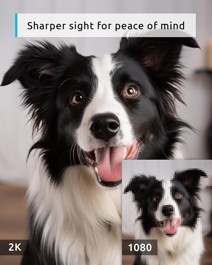 blurams Pet Camera 2K, 360° Dog Camera with Phone App, PTZ Indoor Cameras for Home Security Indoor, 2-Way Audio, Motion Tracking, Color/IR Night Vision, Siren, Cloud&SD(2.4GHz Only)-Mewly Pet