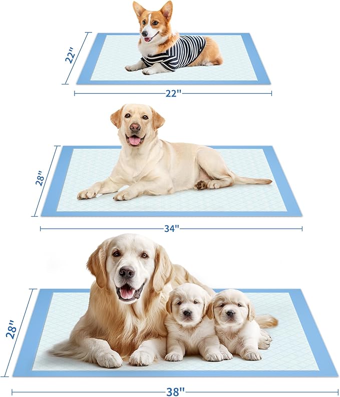 75-Pack XX-Large Puppy Pads - 38" x 28" Pee Pads for Dogs Potty Training with Leak-Proof Quick-Dry Design, 6-Layer Wee Wee Pads for Dogs, Blue-Mewly Pet