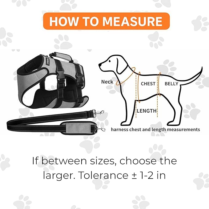 Ayquez Dog Lift Harness with Storage and Transport Bag, Dog Harness with Handle for Lifting & Hip dysplasia, arnés para Perros pequeños, pechera para Perros (Gray, M)-Mewly Pet