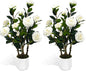 2Pack Artificial Camellia Tree, 2FT Faux Camellia Plant in Pot with White Flowers for Spring Home Front Door Outdoor Indoor Decoration,White
