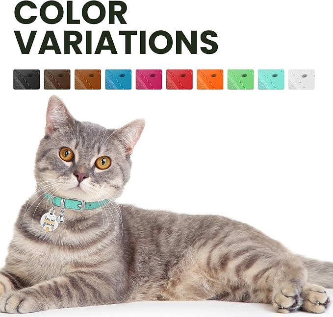 BRONZEDOG Leather Cat Collar with Removable Bells Non Breakaway Kitten QR Tag for Girl Boy (7" - 9" for Cats, Turquoise & Silver)-Mewly Pet
