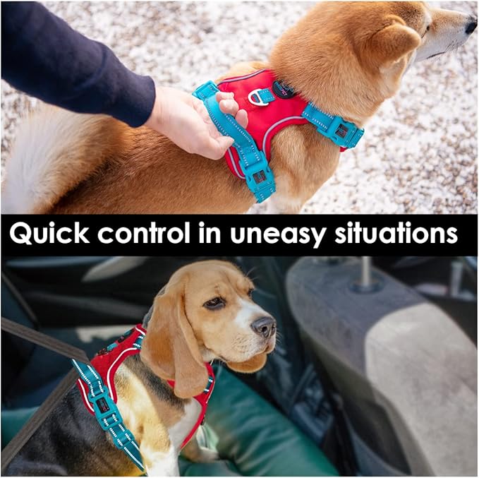 PHOEPET No Pull Dog Harness, Unique Colors Reflective Adjustable Dog Vest, with Soft Training Handle Metal Clips for Small Medium Large Dogs (Red Base & Teal Straps,M)-Mewly Pet
