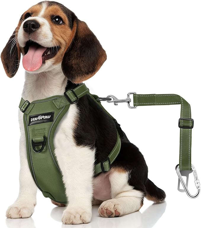 Dog Seat Belt Harness for Car, Dog Car Harness Adjustable Mesh Breathable & Dogs Seatbelt Safety Tether with Elastic Bungee for Small Medium Large Pets(Army Green, S)-Mewly Pet