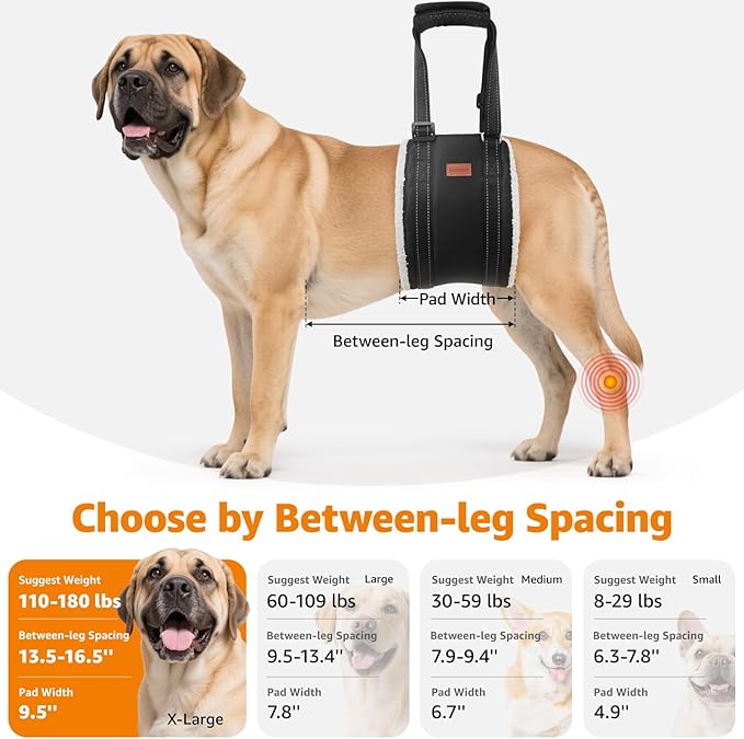 LOOBANI Portable Dog Sling for Back Legs, Hip Support Harness to Help Lift Dogs Rear for Canine Aid and Old K9 Cruciate Ligament Rehabilitation-Mewly Pet