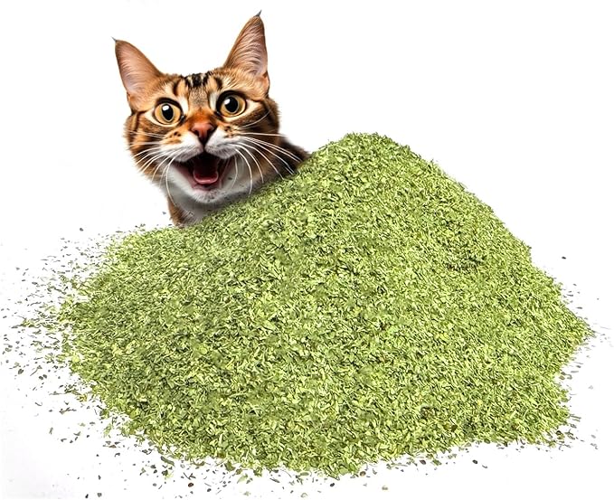 Fiend Catnip Safety-Cut 100% Pure Potent Fine Cat Nip for Cats & Kittens – Ultra Potent, North American – 1 Cup (34.5g) Canister – Go Ahead, Create a Monster!-Mewly Pet