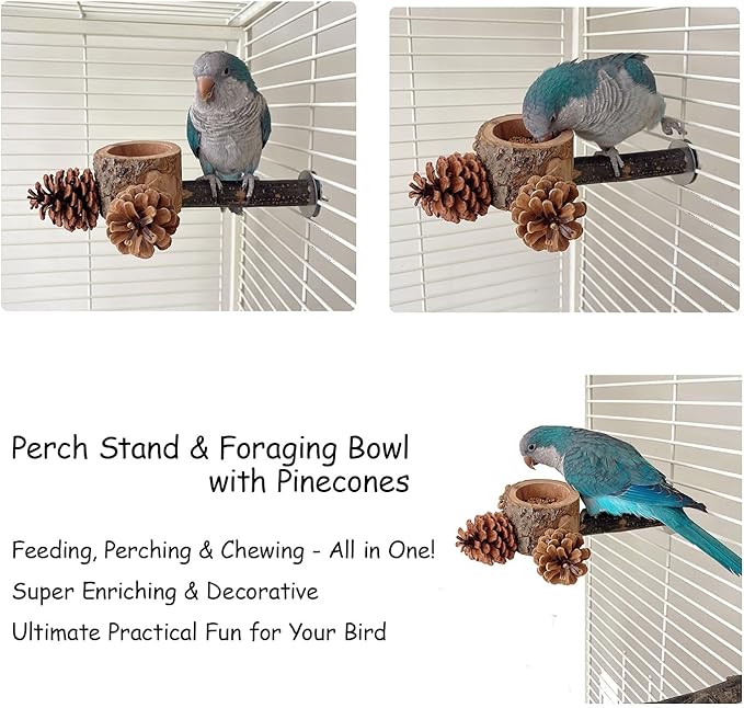 Bird Perch with Safe Bowl Wood & Pinecones - Bird Toys Chew Toys 100% Natural & Durable for Cockatiel, Conure, Budgie, Lovebird, Parakeet - Birdcage Accessory for Foraging & Oral Health-Mewly Pet