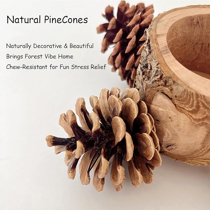 Bird Perch with Safe Bowl Wood & Pinecones - Bird Toys Chew Toys 100% Natural & Durable for Cockatiel, Conure, Budgie, Lovebird, Parakeet - Birdcage Accessory for Foraging & Oral Health-Mewly Pet