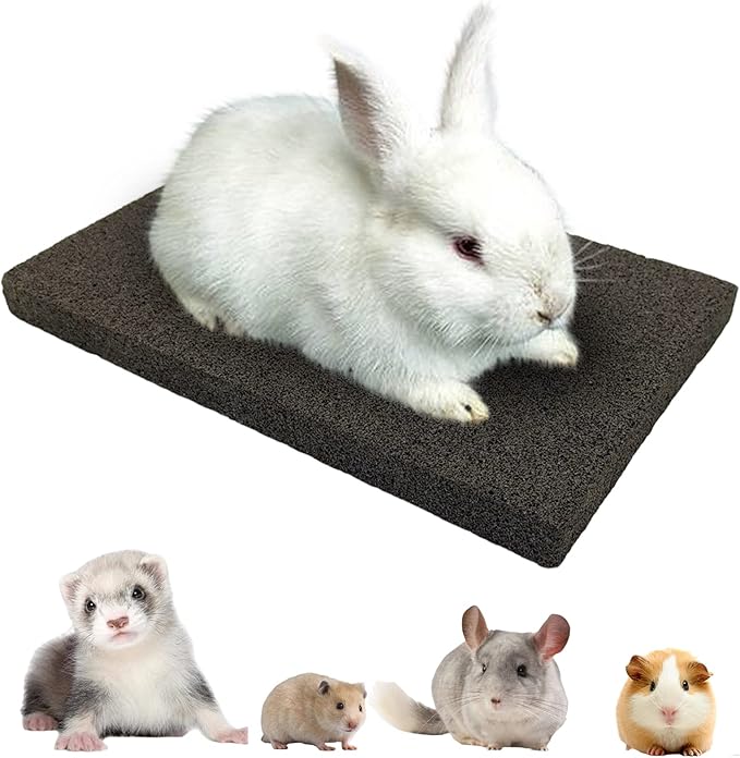 BNOSDM Rabbit Grinding Claw Pads Bunny Scratch Foot Pads Natural Hamster Lava Stone for Teeth Grinding Black Guinea Pig Scratching Board Chew Toy for Ferret Chinchilla Mouse-Mewly Pet