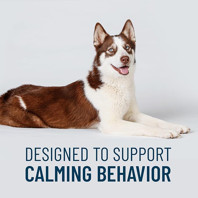 Nutramax Solliquin Calming Behavioral Health Supplement for Large Dogs - with L-Theanine, Magnolia/Phellodendron, and Whey Protein Concentrate, 75 Soft Chews-Mewly Pet