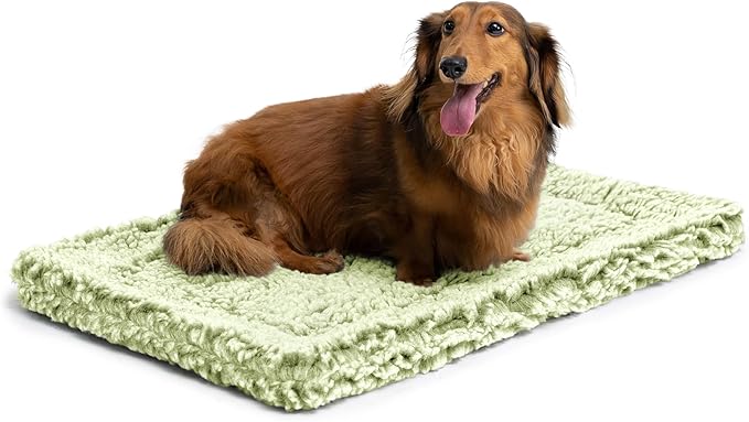 Stoutwool Indestructible Dog Bed - Fluffy Chew Proof Dog Crate Pad - Tough Kennel Pad for Aggressive Chewers - Washable, Ideal for Small Breeds & Fits 24-Inch Crate - 23"x16", Gleam-Mewly Pet