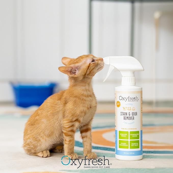 Oxyfresh Advanced Pet Stain Remover & Urine Odor Eliminator – Fast Acting Pet Odor Eliminator for All Surfaces - Best Way to Remove Stains - Dog & Cat Urine Neutralizer-Mewly Pet