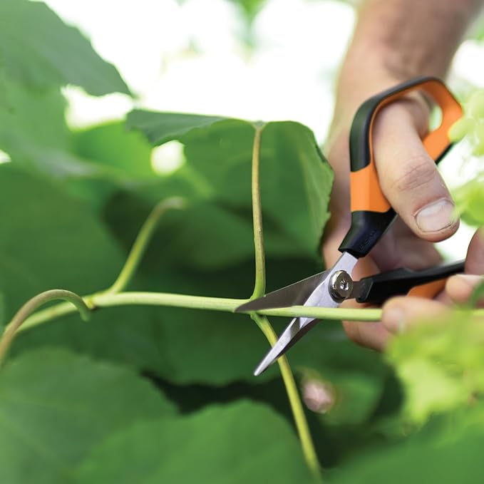 Fiskars Comfort Loop Micro-Tip Pruning Snips - 7" Garden Shears with Sheath and Extra Large SoftGrip Handle - Yard and Garden Tools - Orange/Black-Mewly Pet