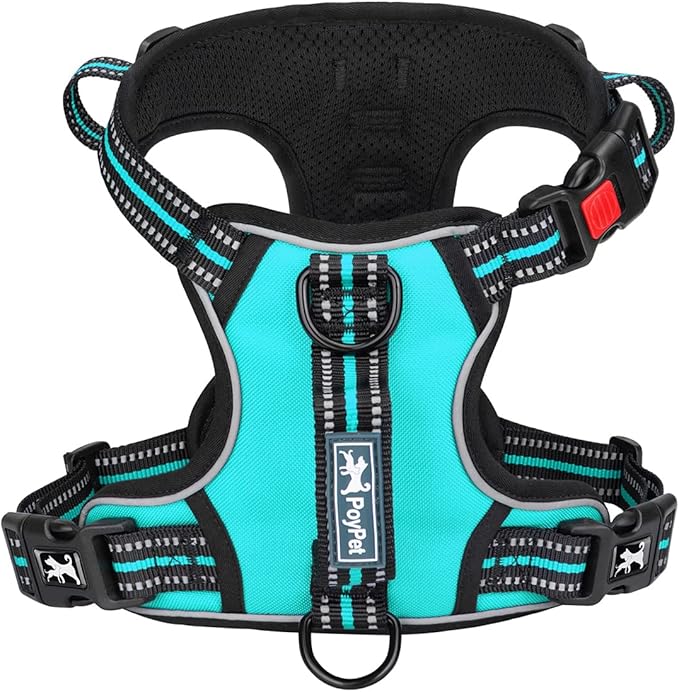 PoyPet No Pull Dog Harness, No Choke Front Clip Reflective Dog Vest with Soft Padded Vertical Handle, 3 Leash Attachments for Small Medium Large Dogs (Mint Blue,L)-Mewly Pet
