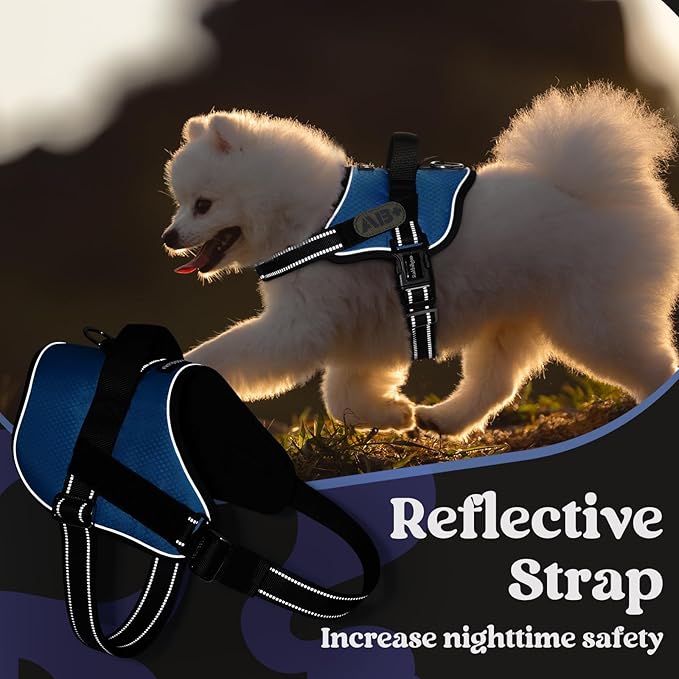 rabbitgoo Dog Harness Medium Sized, Easy On Pet Vest with One Buckle, No Pull Adjustable Service Harness with D-Ring & Handle, Reflective for Safety Walking, Training, Blue, M-Mewly Pet