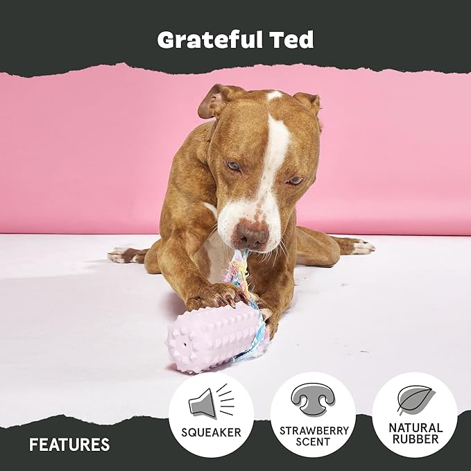 Barkbox Grateful Ted Dog Toy for Medium Dogs – Strawberry-Scented Rip & Reveal Toy for Determined Chewers and Interactive Playtime-Mewly Pet