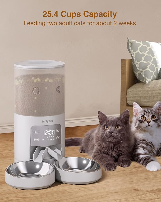 Automatic Cat Feeder for 2 Cats - Cat Food Dispenser with Double Bowls 6L, 10S Voice Recorder Programmable Timed Cat Feeder up to 6 Meals per Day-Mewly Pet