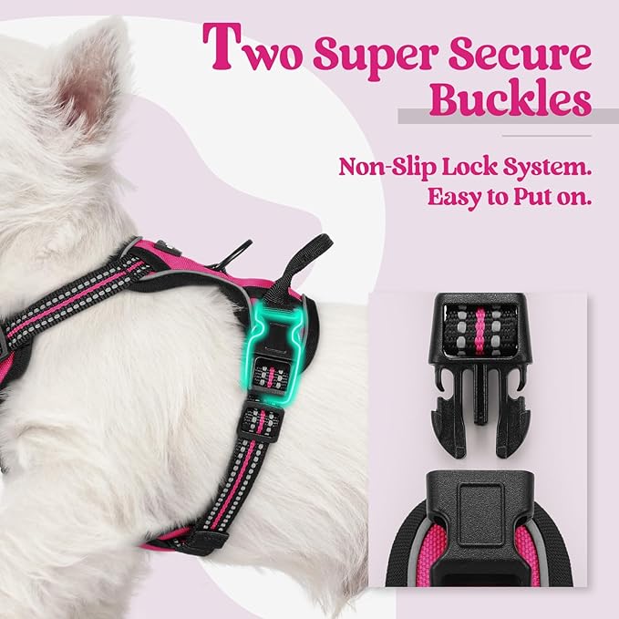 rabbitgoo Dog Harness No Pull with 2 Leash Clips, Adjustable Soft Padded, Reflective Oxford No Choke Pet Vest with Easy Control Handle for Puppy, Hot Pink, XS-Mewly Pet