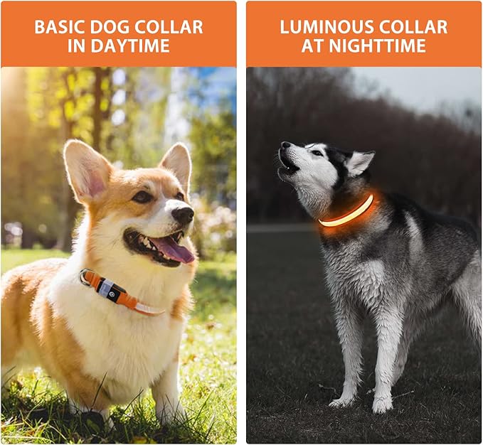 PcEoTllar Light up Dog Collar for Night Walking - LED Dog Collar Light Rechargeable Color Changing, Glow in The Dark Dog Collars Waterproof Glowing Dog Collars for Large Small Medium Dogs-Mewly Pet