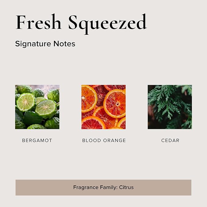 Fresh Squeezed Car Air Freshener - 4 Pack-Mewly Pet