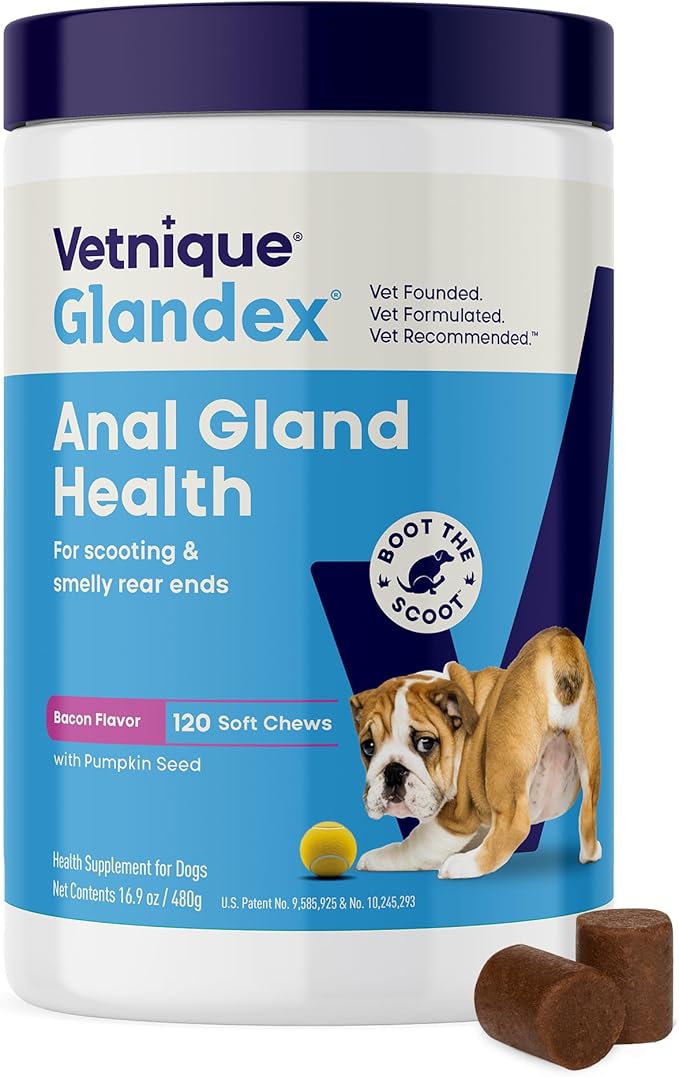 Vetnique Labs Glandex Anal Gland Soft Chew Treats with Pumpkin for Dogs Digestive Enzymes, Probiotics Fiber Supplement for Dogs Boot The Scoot (Bacon/Pork Chews, 120 Count)-Mewly Pet