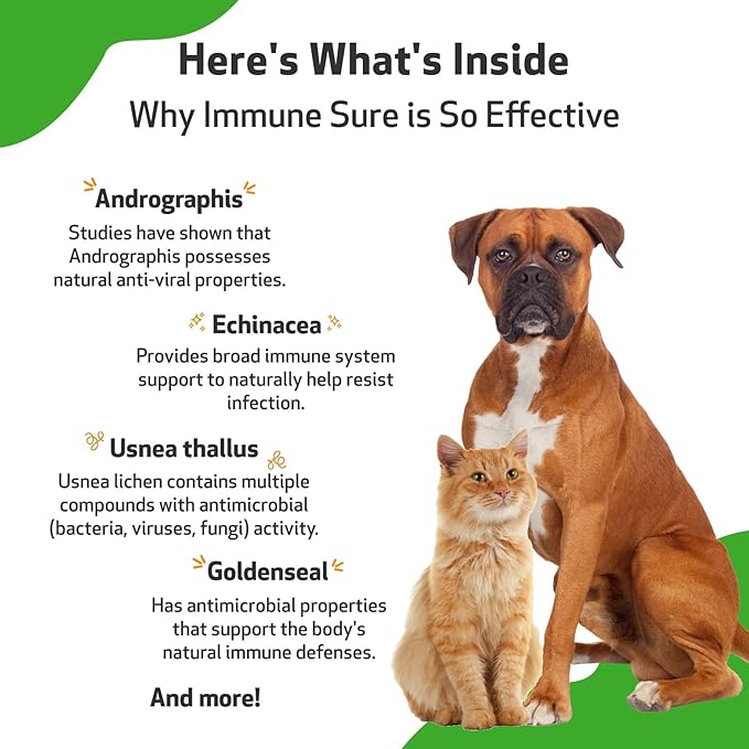 Pet Wellbeing Immune Sure for Dogs - Supports Normal Immune Defenses, Gut Flora Balance, Andrographis, Echinacea, Vitamin C, Zinc - Veterinarian-Formulated Herbal Supplement 4 oz (118 ml)-Mewly Pet