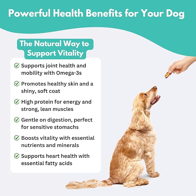 ALFIE'S TREATOS Salmon Skin Treats for Dogs & Cats (10.6 oz, 4x2.65 oz), Bulk Bundle, Air-Dried Fish Skin Dog Treats, Omega-3 Food Topper & Training, Single Ingredient, Freeze-Dried Alternative-Mewly Pet