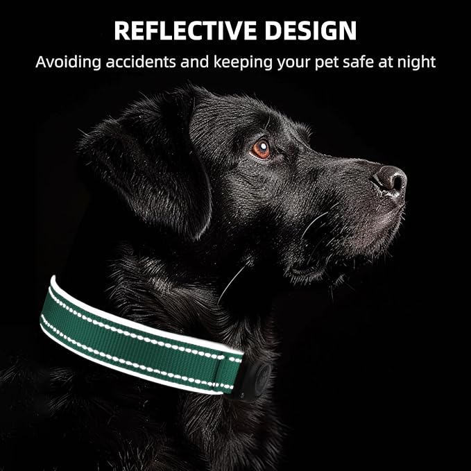 Airtag Dog Collar - 100% Waterproof Air tag Dog Collar Holder for Apple AirTag, Reflective, Soft Padded, Everlasting, GPS Dog Collar for Small Medium Large Dogs (Teal, L)-Mewly Pet