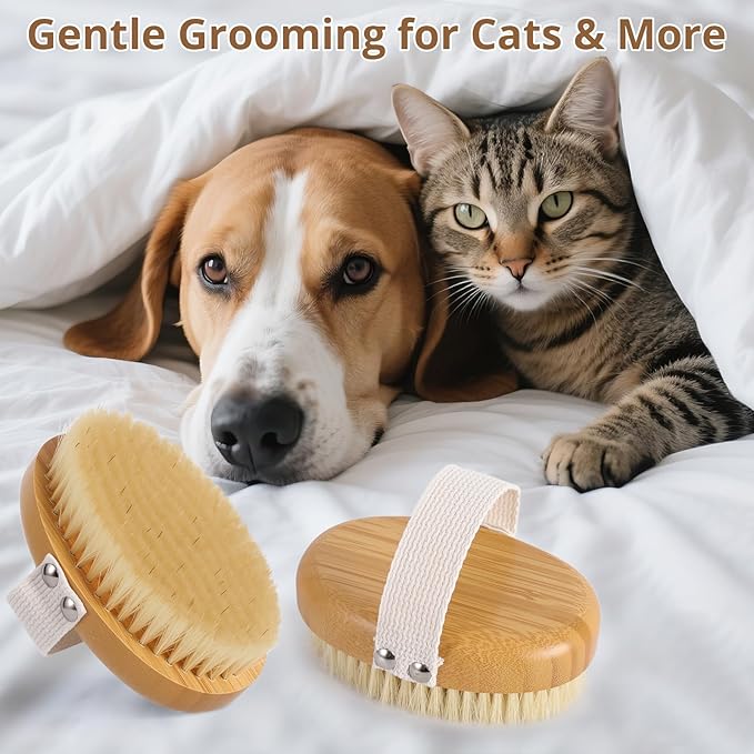 Boar Bristle Cat Brush for Indoor Cats, Cat Hair Brush Gentle Grooming, Reduce Shedding, Soft Hair and Healthy Shine, Bamboo Handheld with Soft Boar Bristles and Band for Short Haired Cats Dogs-Mewly Pet