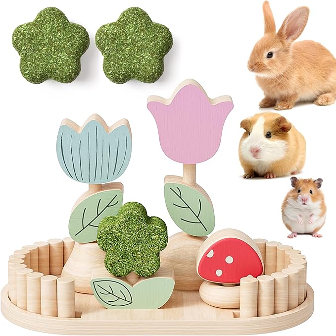 mini&moe Hamster Chew Toys for Teeth - Guinea Pig Chews Enrichment Toys Natural Edible Rabbit Chew Toy for Bunny, Rat, Chinchilla, Gerbils and Others Small Animal-Mewly Pet