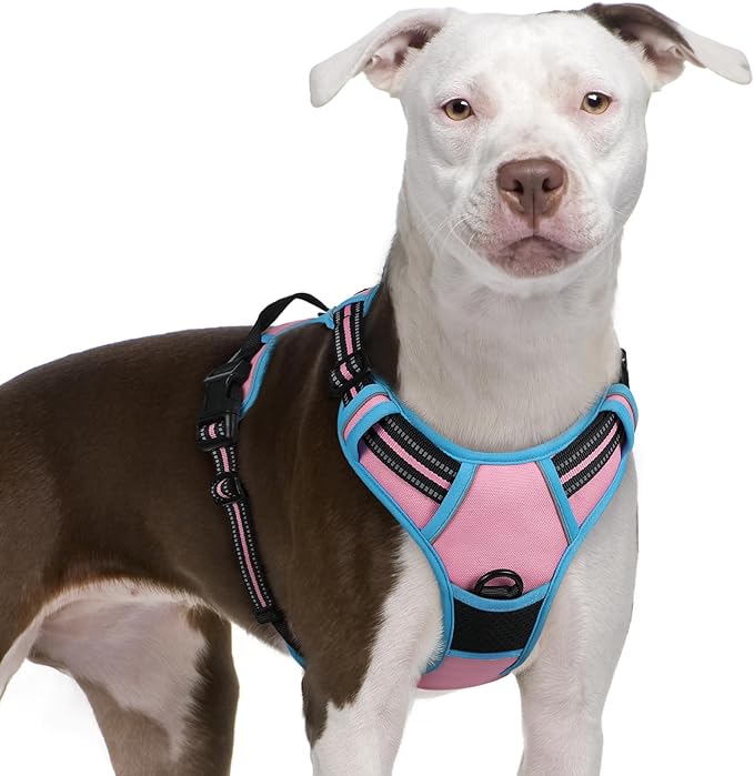 rabbitgoo Dog Harness No Pull with 2 Leash Clips, Adjustable Soft Padded, Reflective Oxford No Choke Pet Vest with Easy Control Handle for Large Dogs, Pink & Blue, XL-Mewly Pet