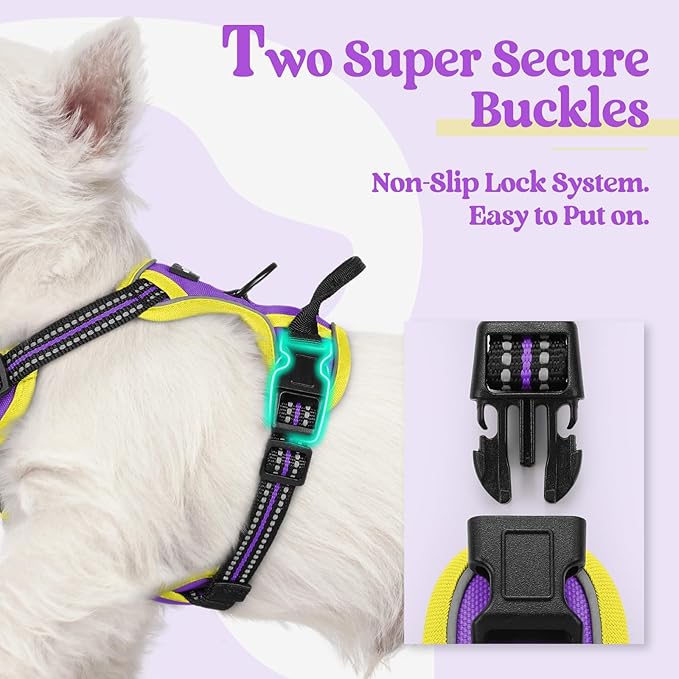 rabbitgoo Dog Harness No Pull with 2 Leash Clips, Adjustable Soft Padded, Reflective Oxford No Choke Pet Vest with Easy Control Handle for Puppy, Purple & Yellow, XS-Mewly Pet