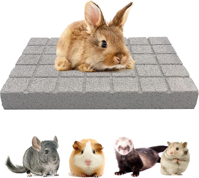 BNOSDM Rabbit Grinding Claw Pads Natural Hamster Lava Stone Teeth Grinding Scratching Pad Chew Toy for Small Animals-Mewly Pet
