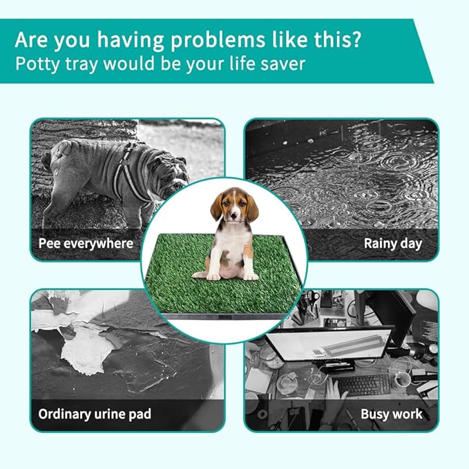 Artificial Grass Pad with Tray - 16"x20" Dog Potty for Puppy Training - with 2 PCS Reusable Replacement Fake Grass Pee Pads, Indoor/Outdoor Small Dog Litter Box for Apartment or Balcony/Patio-Mewly Pet