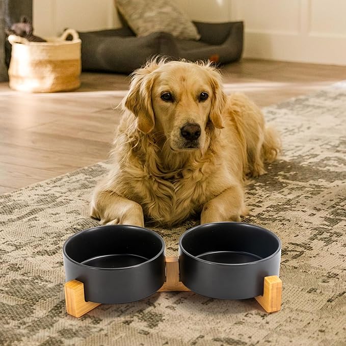 SPUNKYJUNKY Ceramic Dog and Cat Bowl Set with Wooden Stand, Modern Cute Weighted Food Water Bowl Set for Medium to Large Size Dogs (42 OZ, 2 × Black)-Mewly Pet