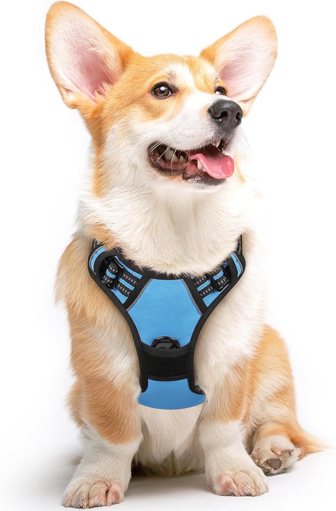 Eagloo Dog Harness Medium Sized Dog, No Pull Service Vest with Reflective Strips and Control Handle, Adjustable and Comfortable for Easy Walking, No Choke Pet Harness with 2 Metal Rings, Sky Blue, M-Mewly Pet