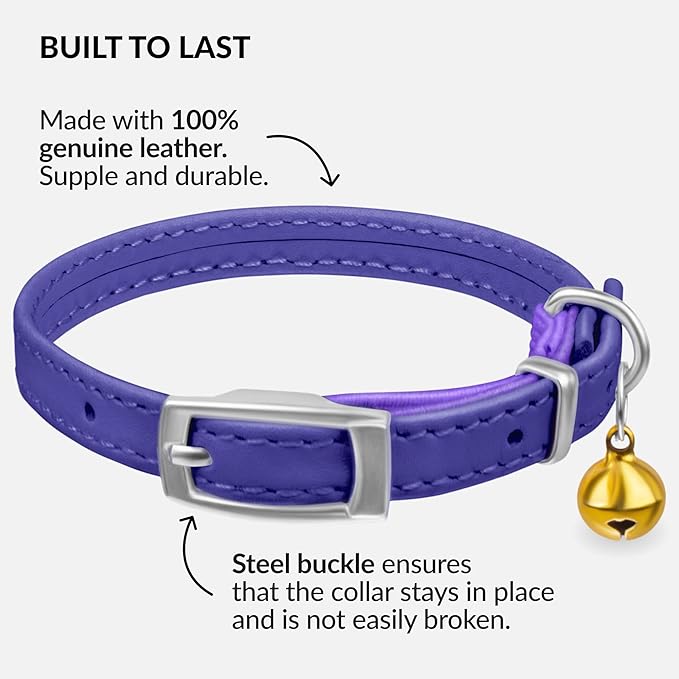 CollarDirect Leather Cat Collar with Bell - Kitten Collar, Small and Big Cat for Boy Cats, Girl Cats with Safety Elastic Strap (Neck Fit 8"-11", Purple)-Mewly Pet