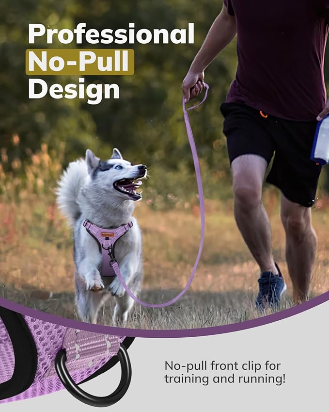 MIDOG No-Pull Dog Harness | Adjustable & Reflective Pet Harness Leash Set for Small Medium Large Dogs Walking, Training| No Choke, Front Clip, Soft Padded Vest with Easy Control Handle - Purple, M-Mewly Pet
