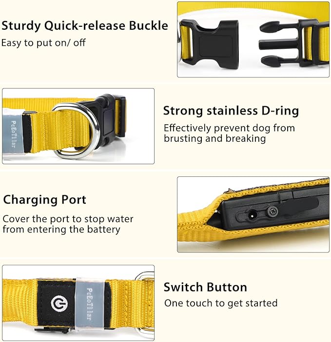 PcEoTllar Light up Dog Collar for Night Walking - LED Dog Collar Light Rechargeable Color Changing, Glow in The Dark Dog Collars Waterproof Glowing Dog Collars for Large Small Medium Dogs-Mewly Pet