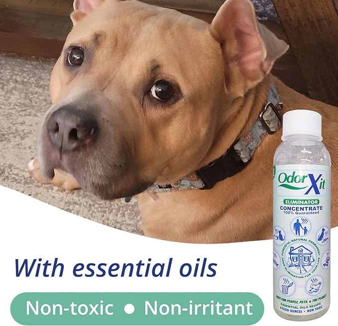 Pet Urine Odor Eliminator Spray 16oz + Concentrate 4oz – Natural, Safe & Effective Odor Neutralizer for Pets & Home-Mewly Pet