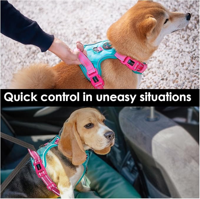 PHOEPET No Pull Dog Harness, Unique Colors Reflective Adjustable Dog Vest, with Soft Training Handle Metal Clips for Small Medium Large Dogs (Mint Green Base & Pink Straps,S)-Mewly Pet