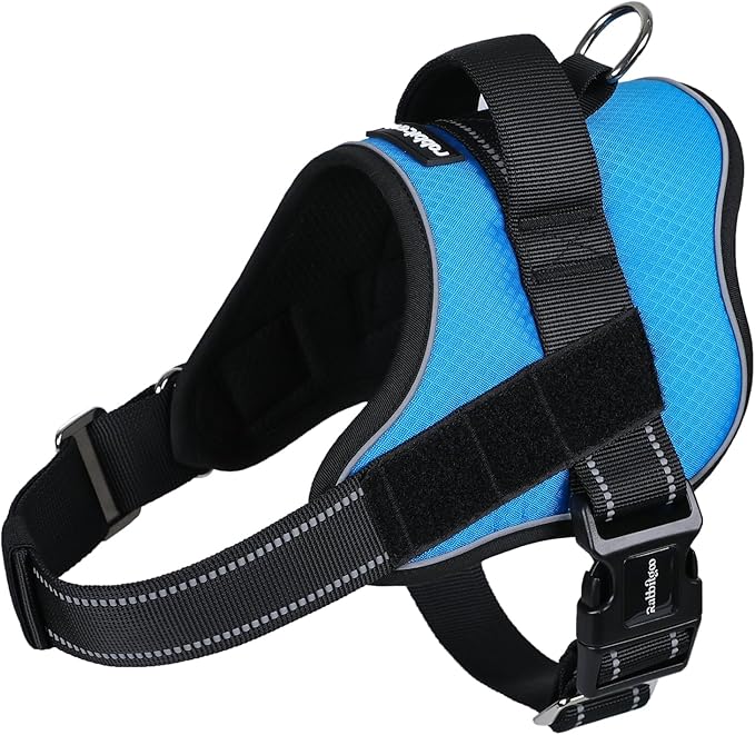 rabbitgoo Dog Harness Medium Sized, Easy On Pet Vest with One Buckle, No Pull Adjustable Service Harness with D-Ring & Handle, Reflective for Safety Walking, Training, Blue, M-Mewly Pet