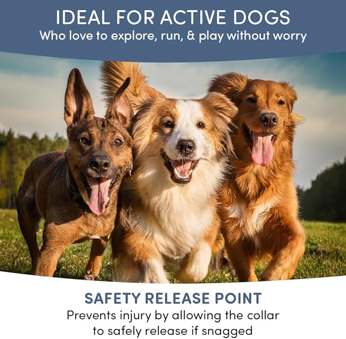 Flea and Tick Collar for Dogs, Cats – Natural Essential Oils – Long-Lasting 8 Month Protection – Waterproof, Adjustable – Safe for Puppies, Kittens, Sensitive Skin-Mewly Pet