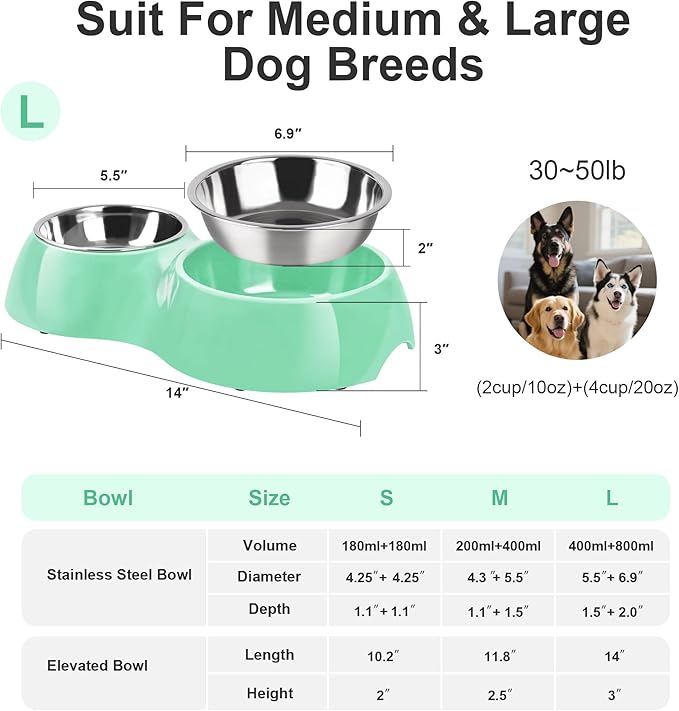 Elevated Dog Bowls Set - Non-Slip Raised Pet Feeder with Medium (2 Cups) & Large (4 Cups) Stainless Steel Bowls - Includes Durable Resin Stand for Puppies, Adult Dogs & Cats - Green-Mewly Pet