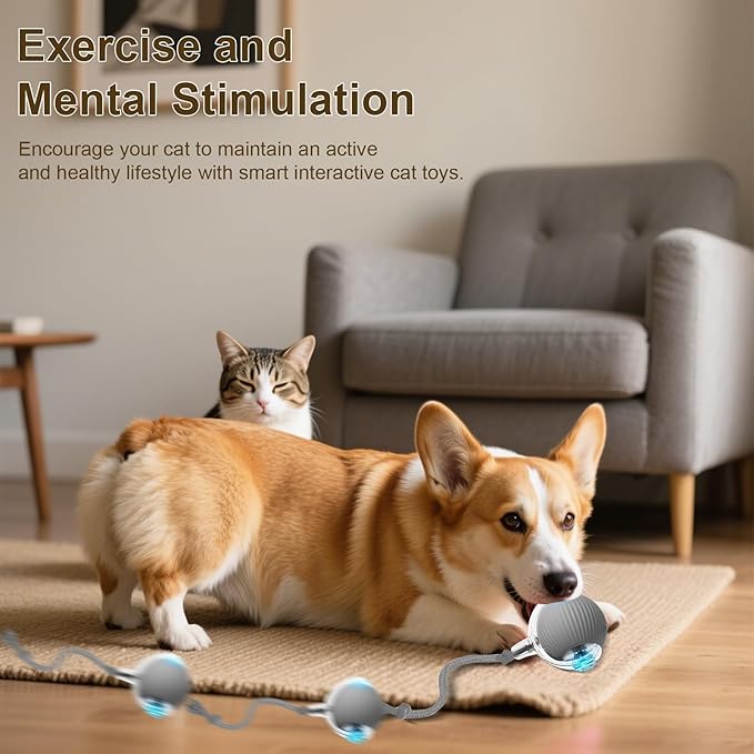Interactive Cat Toy, 2025 New Interactive Rolling Cats Dog Toy Balls 360° Smart Automatic Rolling Pet Ball, Fast Moving Toy for Dog,Cat Ball Toy (Red)-Mewly Pet