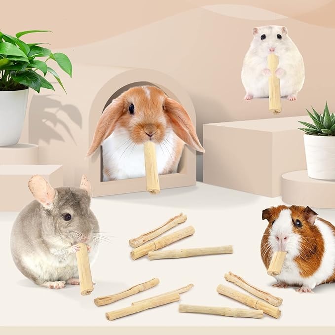 Bissap 145g/0.3Ib Sweet Bamboo Chew Sticks for Rabbits, Bunny Chew Sticks for Rabbits Hamster Chinchilla Guinea Pigs Rabbit Small Animals Natural Treats Teeth Grinding Chew Toys-Mewly Pet