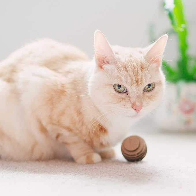 Cat Ball Toys by Americat – Made in USA – Safe Cardboard Cat Toys – for Interactive and Independent Play, Exercise & Stress Relief for All Breeds & Ages (Pack of 3 Round Balls)-Mewly Pet